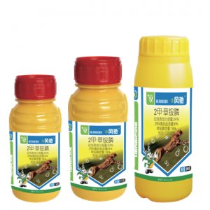 風(fēng)馳3號OEM/ODM代加工