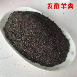 河北潤東肥業(yè)有限公司