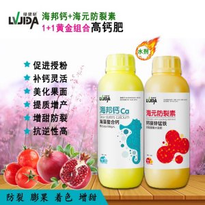 河南豆本行生物技術(shù)有限公司