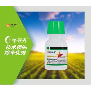 上格領(lǐng)秀OEM代加工