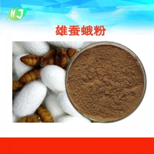 雄蠶蛾提取物貼牌OEM/ODM 雄蠶蛾提取物貼牌OEM/ODM