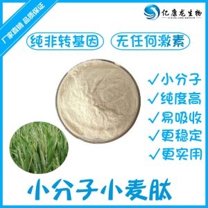 小麥低聚肽代加工貼牌OEM/ODM 小麥低聚肽代加工貼牌OEM/ODM