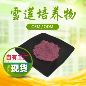 雪蓮培養(yǎng)物OEM/ODM定制代加工 雪蓮培養(yǎng)物OEM/ODM定制代加工