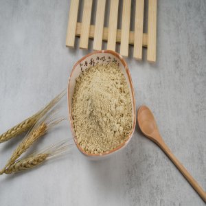 小麥胚芽粉500克粗糧粉OEM代加工 小麥胚芽粉500克粗糧粉OEM代加工