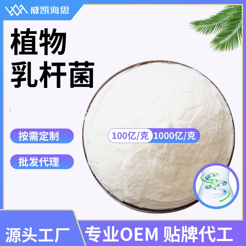 專業(yè)植物乳桿菌代加工工廠,盡心竭力為您服務