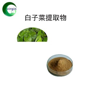 白子菜提取物OEM代加工