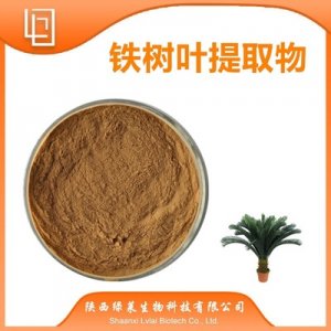 鐵樹(shù)葉提取物代加工貼牌OEM/ODM