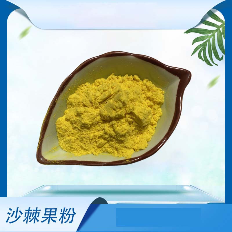 沙棘果粉代加工-合作形式多樣-免費全程策劃