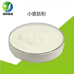 食品級(jí)小麥低聚肽貼牌OEM/ODM 食品級(jí)小麥低聚肽貼牌OEM/ODM