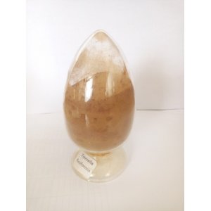 浙江方格藥業(yè)有限公司