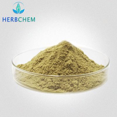 橄欖苦甙代加工,國際化標(biāo)準(zhǔn)車間隨時(shí)待命