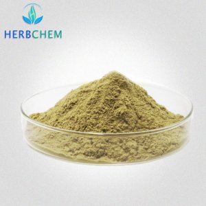 橄欖苦甙70%OEM代加工 橄欖苦甙70%OEM代加工