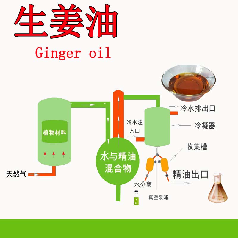 生姜油oem貼牌,讓您擁有自己的品牌