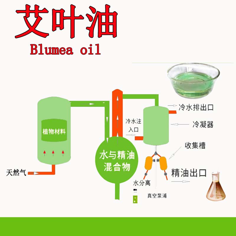 艾葉油貼牌oem,這家挺靠譜的