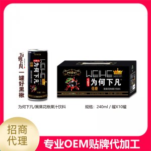黑果花楸果汁飲料可OEM/ODM代工
