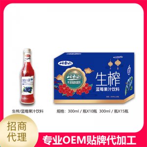 生榨藍(lán)莓汁玻璃瓶300ml貼牌OEM/ODM