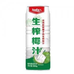 強(qiáng)力生榨椰汁植物蛋白飲料960gOEM代加工 強(qiáng)力生榨椰汁植物蛋白飲料960gOEM代加工