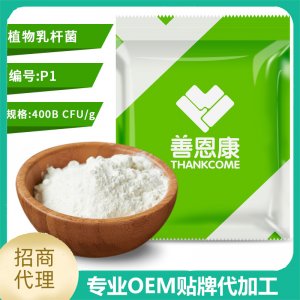 植物乳桿菌 食品級(jí)益生菌凍干粉原料廠家 乳酸菌粉4000億/克貼牌OEM/ODM