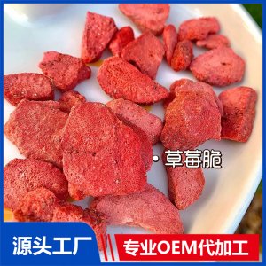 凍干水果脆OEM口味造型可定制兒童零食貼牌代工
