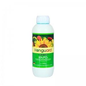 全水溶葉面肥亞磷酸鉀 高磷高鉀水溶肥 膨果?；ū９厣铱赝柿洗庸べN牌OEM/ODM
