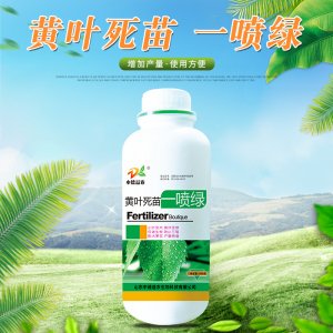 黃葉死苗一噴綠葉面肥OEM/ODM代加工