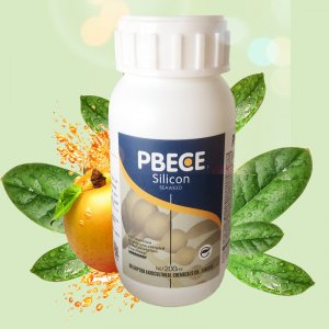 硅肥水溶肥 農(nóng)用硅肥 酸性優(yōu)硅 防蟲抗病 抗倒伏 瓜果蔬菜專用肥OEM/ODM代加工