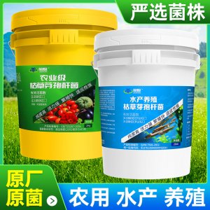 枯草芽孢桿菌OEM/ODM定制代加工