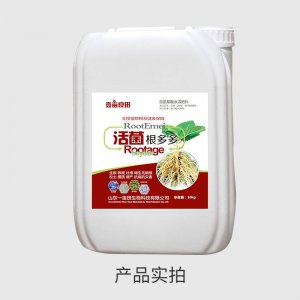 一畝田果樹蔬菜生壯根苗保花膨果提質(zhì)活菌根多多水溶桶肥OEM代加工