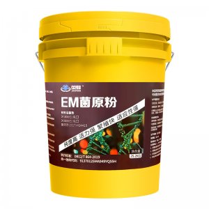 山東繭蜂生物科技有限責(zé)任公司