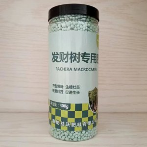 發(fā)財樹專用肥發(fā)財樹肥料綠蘿發(fā)財樹多肉專用肥盆栽復合肥花肥家用OEM代加工