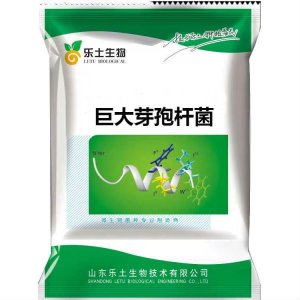 100億 巨大芽孢桿菌原粉可OEM/ODM代工