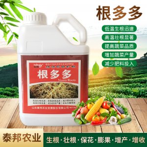 活菌根多多生根保花膨果 水溶肥低溫生根液OEM/ODM定制代加工
