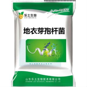 農(nóng)用 地衣芽孢桿菌代加工貼牌OEM/ODM