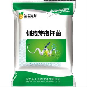 側(cè)孢短芽孢桿菌 100億/g 全水溶 生物防治菌腐熟有機(jī)肥微生物菌劑貼牌OEM/ODM