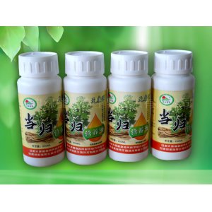 當(dāng)歸營(yíng)養(yǎng)液OEM代加工