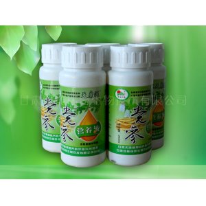 黨參營(yíng)養(yǎng)液OEM代加工