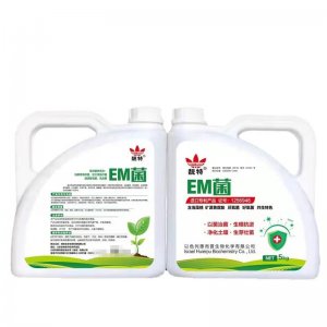 壽光市強盛肥業(yè)有限公司