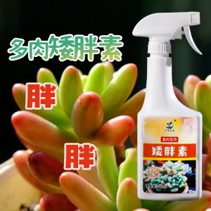 多肉肥料OEM/ODM定制代加工