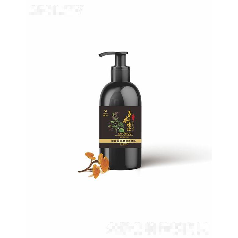客絲首烏植物洗發(fā)乳  500ml  補充營養(yǎng)