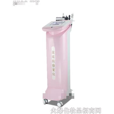 菲斯曼盆底肌修復(fù)儀