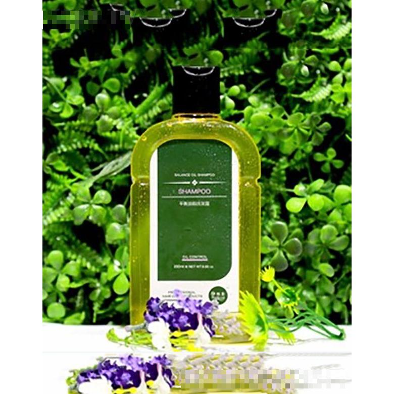 伊絲彩平衡油脂洗發(fā)露  鎖水保濕