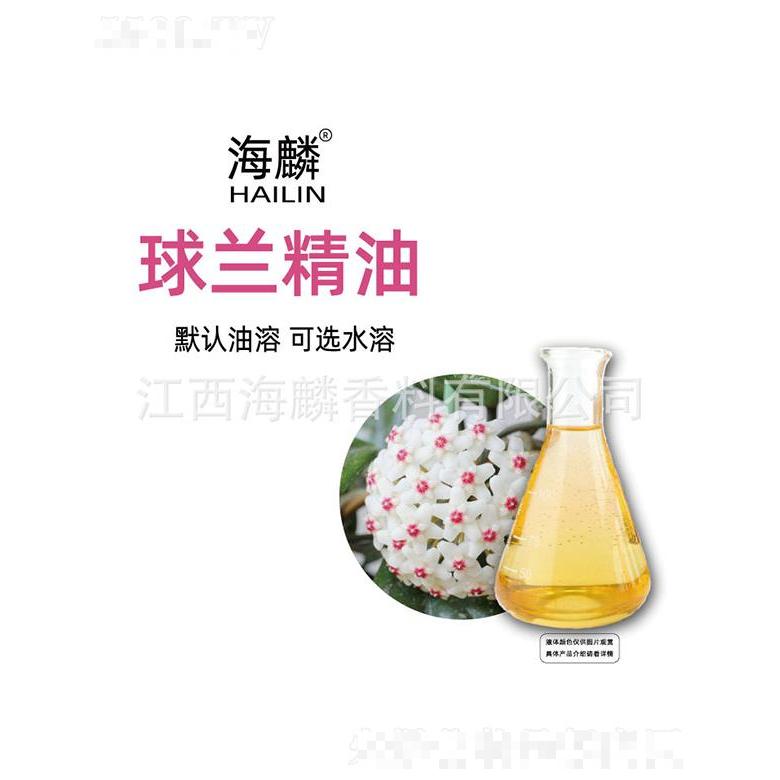 海麟球蘭精油