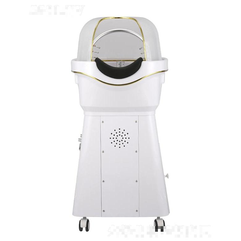 新款頭療SPA護(hù)理儀（帶熏蒸儀）