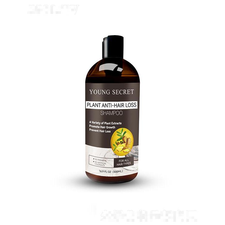 華儂洗發(fā)水  生姜滋養(yǎng)毛囊  控油去屑止癢  增發(fā)密發(fā)洗發(fā)露