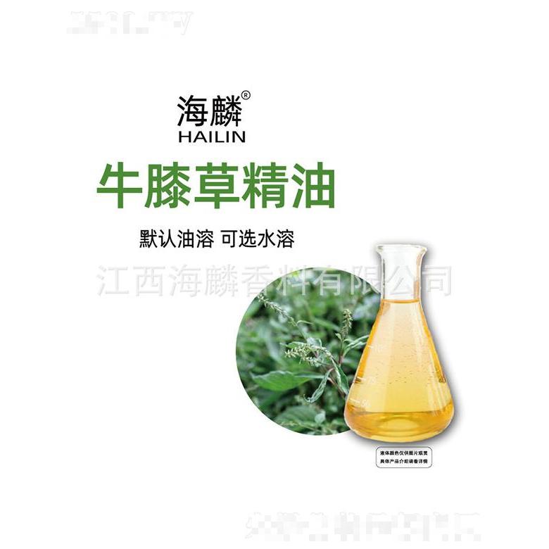 海麟牛膝草精油