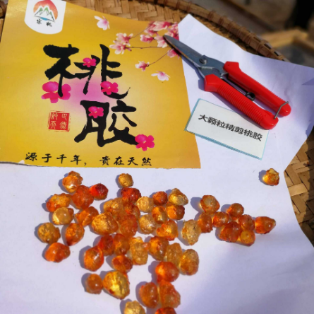 A級大顆粒珍珠桃膠OEM貼牌代工