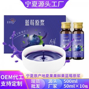 夏果果藍莓原漿藍莓汁500mlOEM代加工