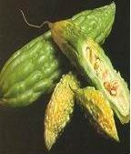 苦瓜提取物OEM代加工