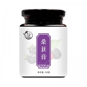 醫(yī)笑堂桑葚膏oem代加工