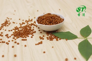 甘蔗蠟 蔗蠟 顆粒蠟OEM代加工